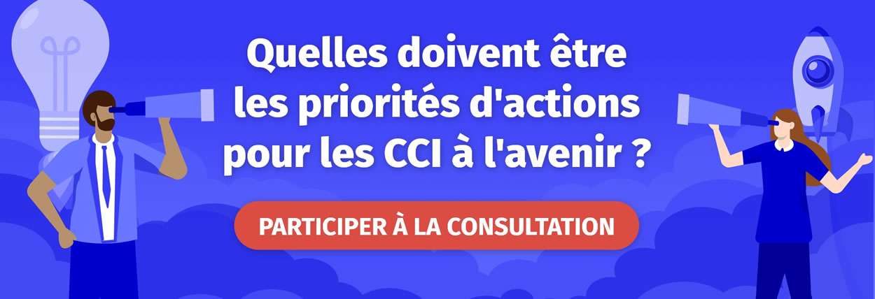 Consultation CCI