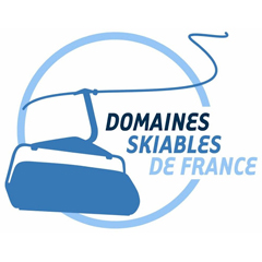 DSF