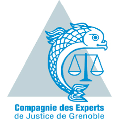 Expert de justice