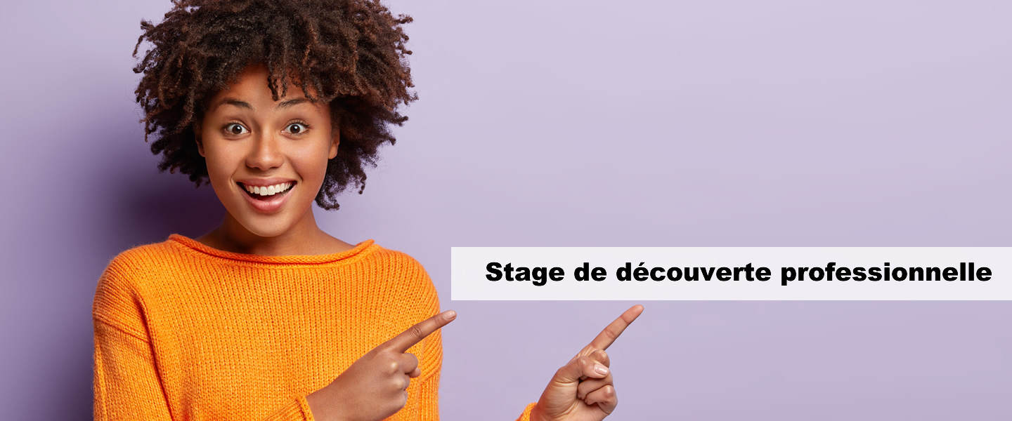 stage découverte
