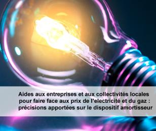 amortisseur électricité