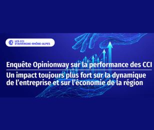 OPINION CCI