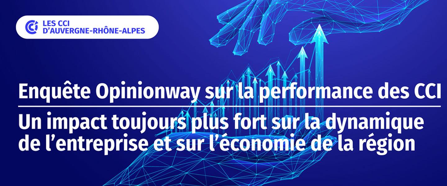 OPINION CCI