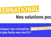 soluccio international