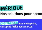 SluCCIo numérique