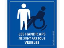 PHOTO_PLATEFORME_HANDICAP