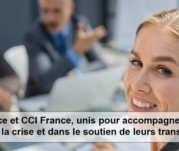 cci accompagnement