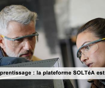 soltea