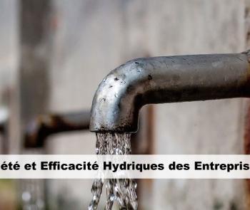 sobriété eau