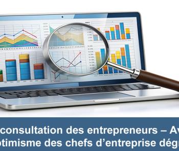 consultation entrepreneurs 25