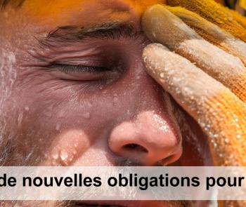 canicuel au travail